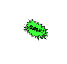 ossoptical001002.png